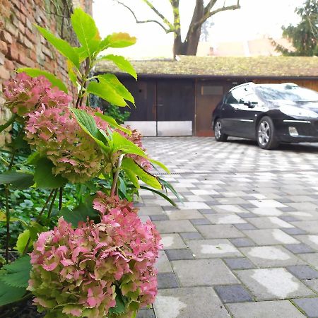 Tiny Cozy Accommodation Zagreb Exterior foto